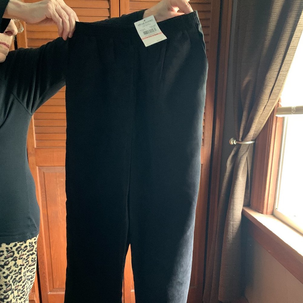 Alfred Dunner Black Pull-On Pants (10P MEDIUM)